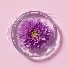 Purple flower floats in watery dish, ripples form on soft pink backdrop
