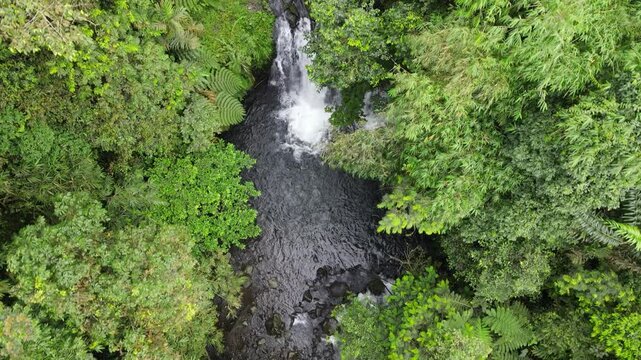 Aerial Footage of Sebrangan Waterfall Surrounded by Bamboo Forest, Java Island, Indonesia