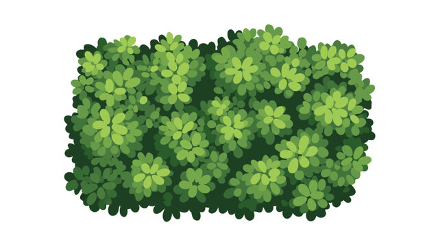 Top Down View Of A Lush Green Bush With Detailed Leaves And Shadows Against A Transparent Background Minimalist Nature Element Isolated Illustration