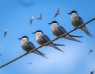 Several birds perched on a wire against a bright blue sky