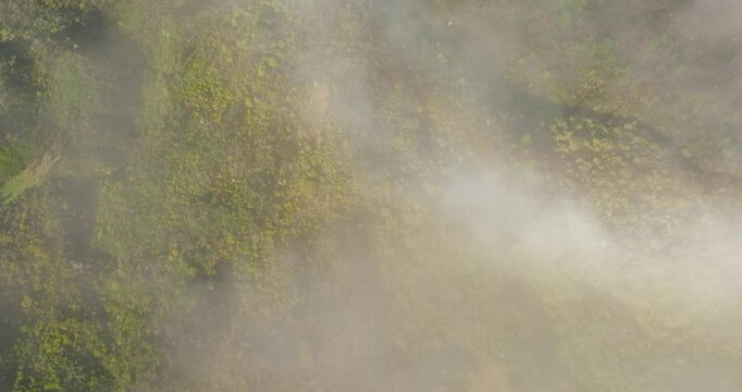 Eglinton Valley fog rolling over lush green hills, calm and serene