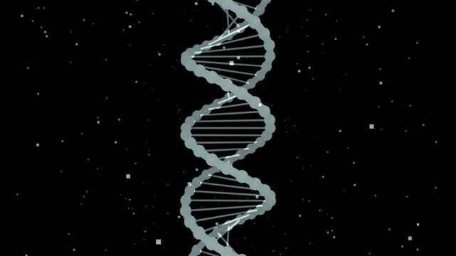 High-end medical animation of a glowing organic DNA. Seamless loop animation, 4K resolution, 10 seconds, with alpha channel.