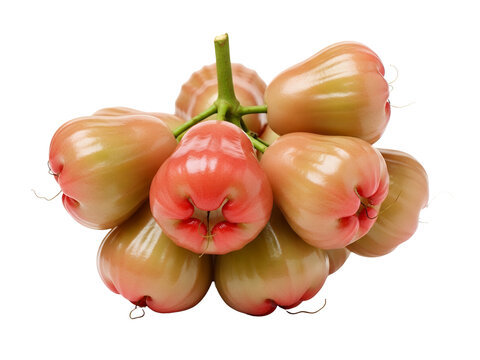 Fresh raw rose apple ingredients isolated on white