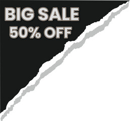 big sale vector illustration with torn paper border