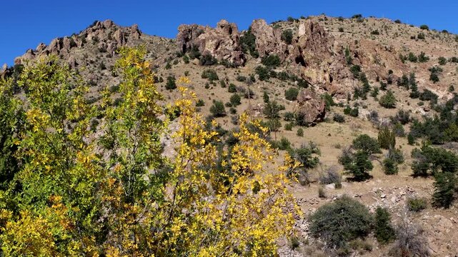 Landscape along Percha Creek canyon, a popular northern New Mexico scenic drive or byway, set off by dramatic autumn leaves