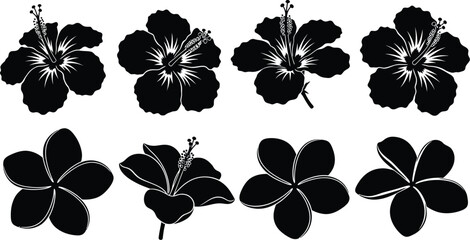 Black hibiscus flowers arrangement a versatile graphic element on transparent background silhouette