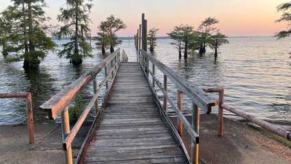 Broken Louisiana Swamp Dock