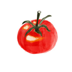 Red Tomato Watercolor paint  