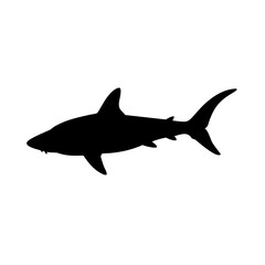 Shark Full Body Silhouette Vector Illustration