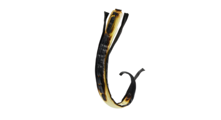 Artistic presentation of a gently charred leek isolated on a clean white backdrop showcasing unique color contrasts and delicate textures of vegetal