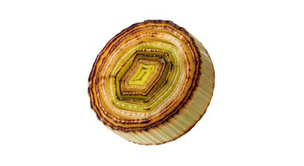 Detailed leek cross-section revealing intricate layers of varying textures and subtle color gradations against a pristine background