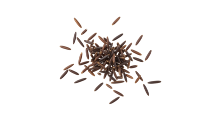 A striking top-down composition showcasing scattered grains of wild rice on a pristine white backdrop, emphasizing their elongated shape and dark