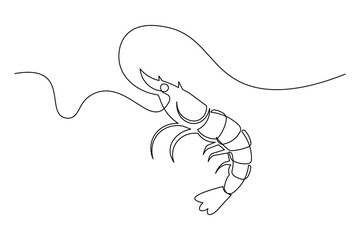 Cooking ingredient shrimp continuous line drawing isolated food element