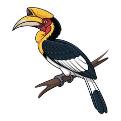 Fototapeta premium toucan on a branch