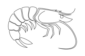Single line art illustration of a shrimp continuous outline drawing