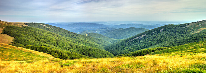 Beautiful landscape in the summer mountain