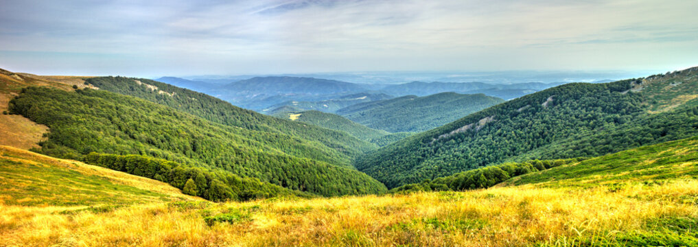 Beautiful landscape in the summer mountain