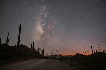 The milky way galactic center over Saguaro National Park
