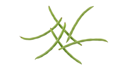 Intricate arrangement of vibrant green beans against a pristine backdrop creating visual depth with its intersecting lines