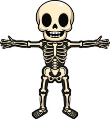 Cartoon human skeleton in T-pose, educational anatomy illustration, Halloween character, kids learning bone structure, smiling skull - flat vector illustration