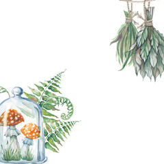 A square frame with red mushrooms under a transparent dome, green ferns and grass drying on a rope. Watercolor illustration for Halloween with leaves of a forest plant and fly agarics on an isolated