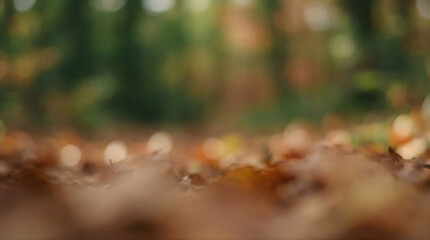 Close up of fallen autumn leaves on forest floor with blurred green background image