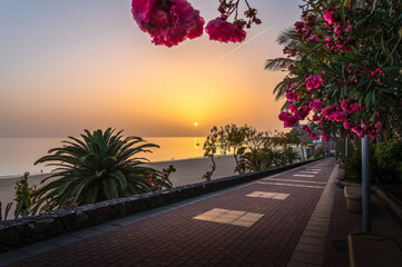Morro Jable, Fuerteventura, at sunset with sandy beach, palm trees, and calm Atlantic Ocean under a colorful sky.