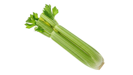 Fresh vibrant celery stalks bundled together on a seamless white background ready for culinary creations or healthy snacks