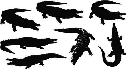 Dangerous Tropical Wild Croc Predatory Animal Nature Flat Black Line Drawing Illustration.