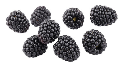 Arrangement of fresh ripe blackberries showcasing their unique texture and glossy surface against a white backdrop