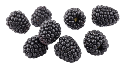 Arrangement of fresh ripe blackberries showcasing their unique texture and glossy surface against a white backdrop