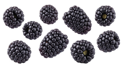 Aromatic blackberries isolated on a white background displaying their textured surfaces and vibrant color variations, appealing to the senses