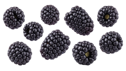 Aromatic blackberries isolated on a white background displaying their textured surfaces and vibrant color variations, appealing to the senses