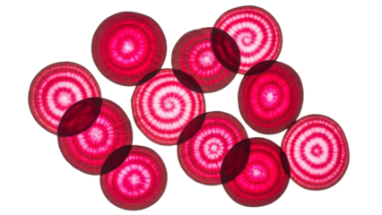 Crimson beet slices offering a visual symphony of concentric circles and vibrant gradients of color on pure white background