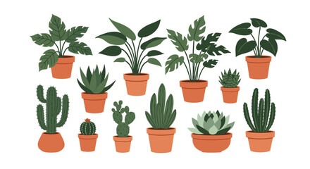 Fototapeta premium Large collection of various indoor houseplants including succulents and cacti in terracotta pots perfect for home decor graphics.