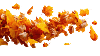 Autumn Leaves in Flight: A cascade of vibrant, golden autumn leaves swirls and dances, creating a dynamic visual that embodies the transition of seasons.