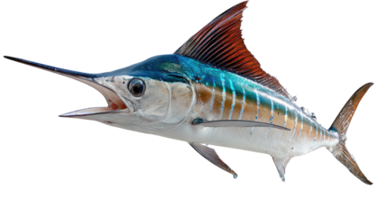 Swordfish Underwater: An impressive, open-mouthed swordfish glides gracefully through its aquatic habitat. Illustrating the ocean's mesmerizing underwater life and highlighting the species' beauty.