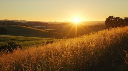 Obraz premium Golden Sunset Over Rolling Hills and Tall Grass in a Countryside Landscape