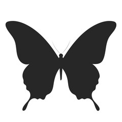 A simple black silhouette of a butterfly with outstretched wings © MDSAEEM
