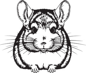 Chinchilla front view vector illustration on transparent background © MDMomin