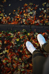 Naklejka premium White Sneakers on Autumn Leaves Fallen Pavement