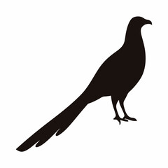 Elegant black silhouette of a longtailed bird, possibly a pheasant or kite