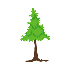 Green Tree Illustration