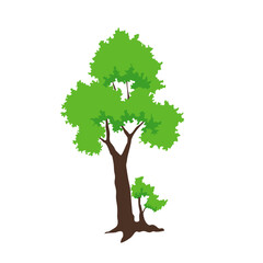 Green Tree Illustration
