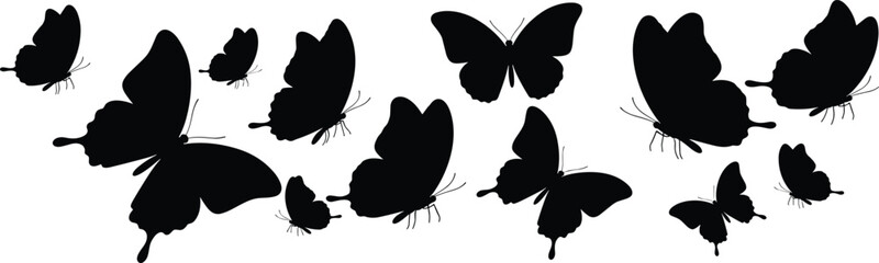 Butterfly silhouettes, wing shapes variety, insect illustration, black design, flying motion, nature symbol, entomology art, decorative insect collection