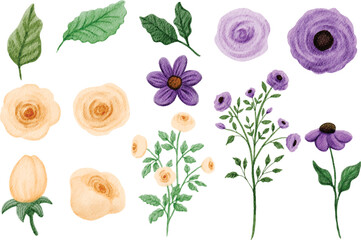 Floral Set Watercolor Illustration 
