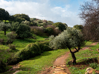 north of Israel - on a dramatic winter day with cloudy gray sky © gashimo