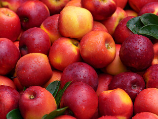 The red apples at the fruit stand