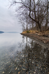 冬の湖のさびれた印象の岸辺の風景。木々を映す透明な水の湖底。