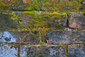 Old brick wall with moss and lichen. Abstract background and texture for design